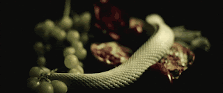 bsyWm.gif