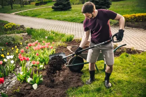 5a6ca1ca 7458 4e61 b8ba d9eda3109433