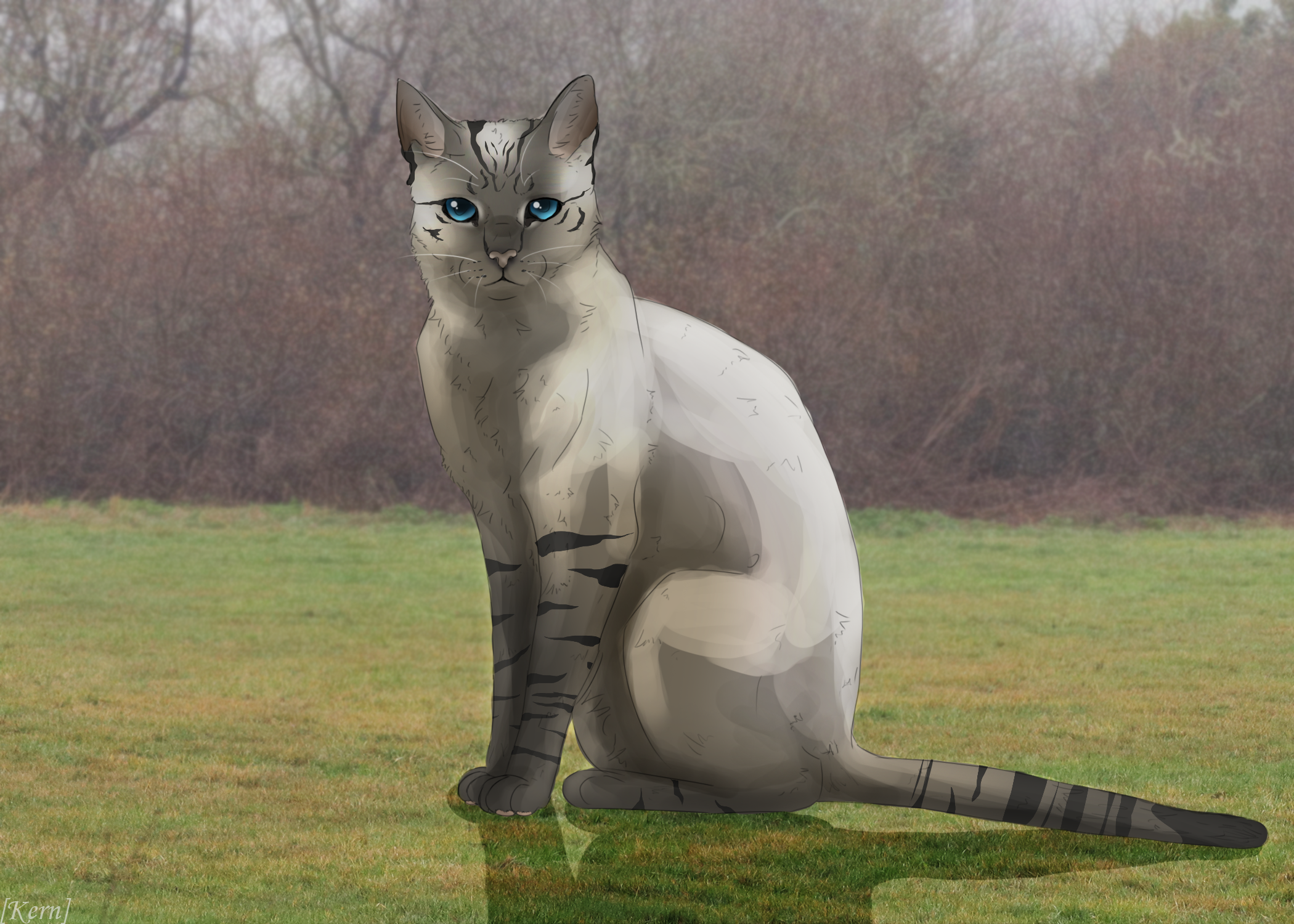 bw1lT.png