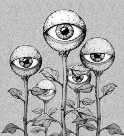 tumblr c81e231d1a330e3f0dd8cb9638e6feae d524f972 1280