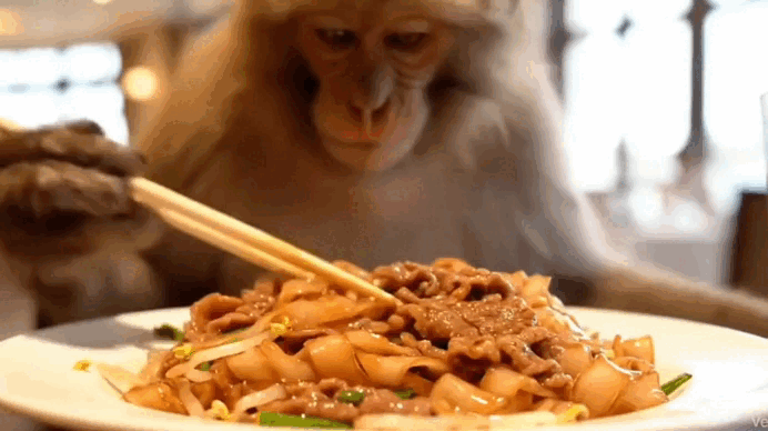 уличная еда4