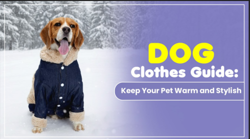 dog cloths4