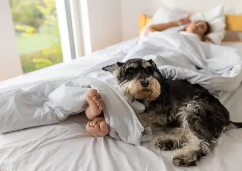 wON3vq4e3yjWE0qPfLiTuaxH99emphMBwnHjC8aeTQplXXX9TH9q3RDU6ye7dBomHx5wYdiKLDOGvxxNS6aOt5BjGGmO0SRpP6rY