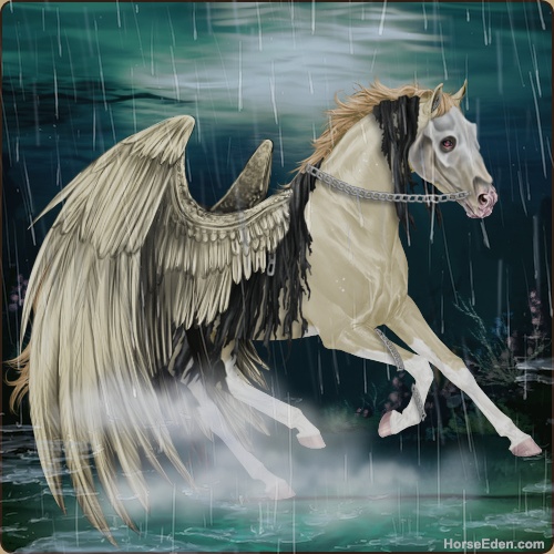 Dancing In The Stars