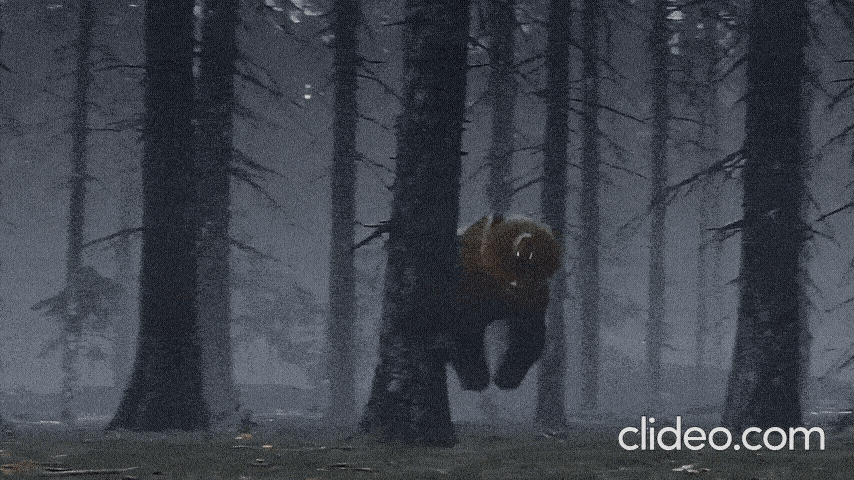 bwJPQ.gif