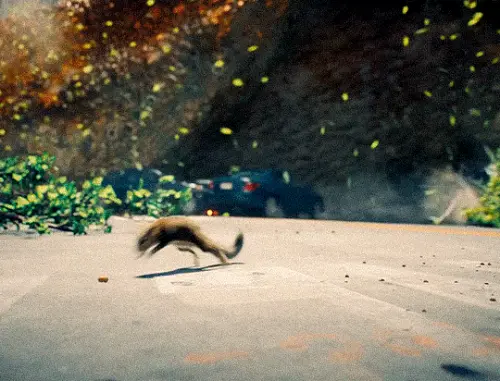 tumblr 707c50704ba1766604137ee5c4f69c7a 7c8793e3 540