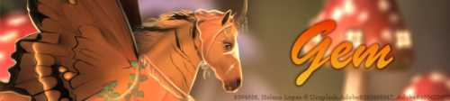 bwRYR.png