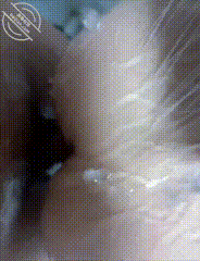 醉酒强上女儿 #1 海角父女 GIF Image