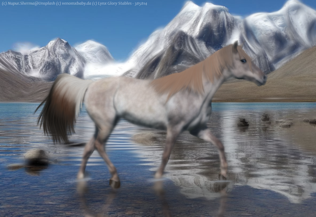 bwTH6.png