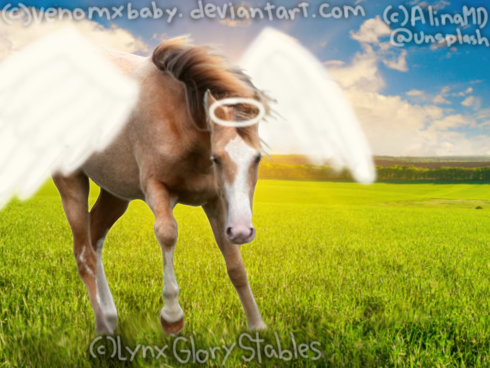 bwTHR.png