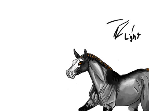 Melavolent Ginger (1)