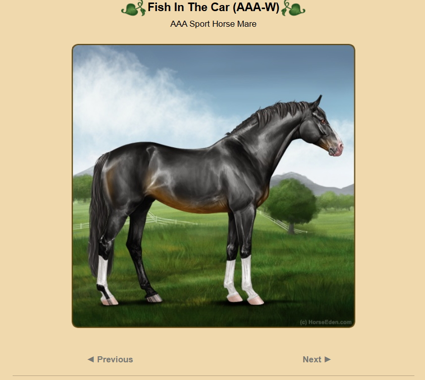 Fish In The Car no ribbon