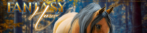 FantasyHorses banner (lone star 2)