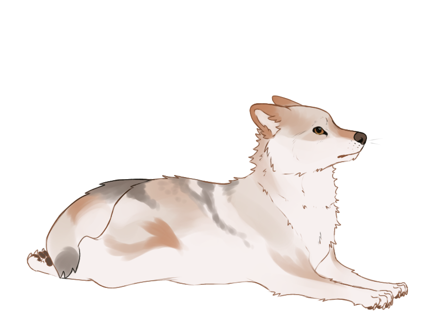 [OPEN] laikarts :|: Lioden