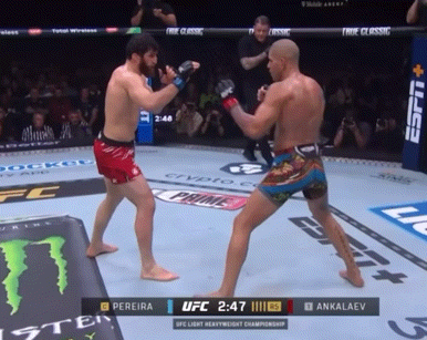 bwc71.gif