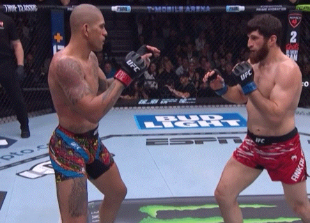 bwc7J.gif