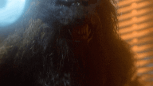 werewolfdaily werewolf