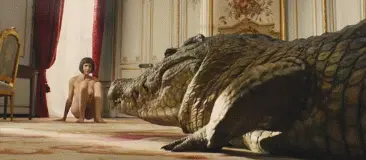 tumblr 682adf1fb45c347ff415664f40e6cf65 9011bc58 400