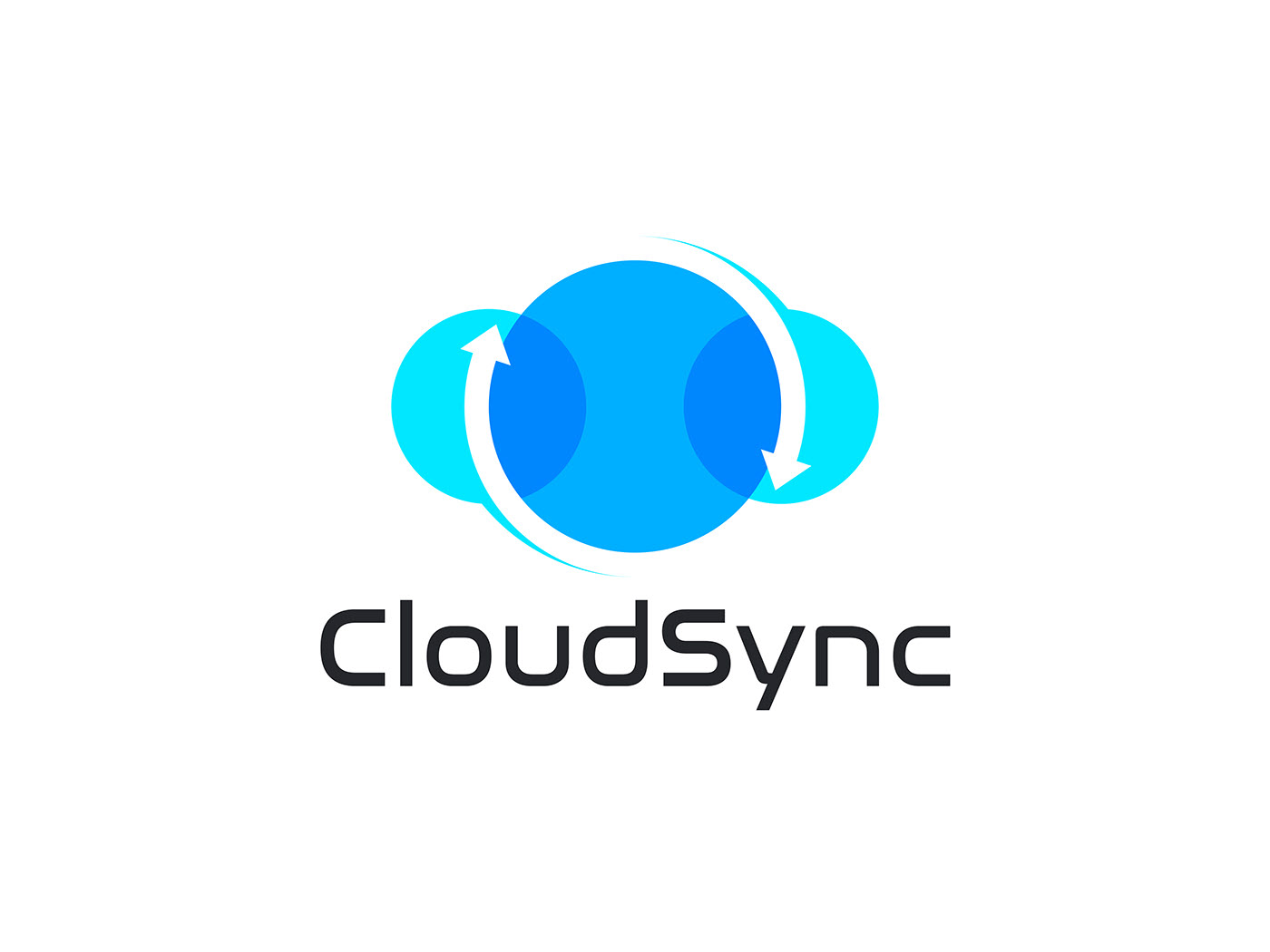 CloudSync Pro Logo