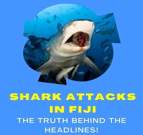 bxAEU.jpg