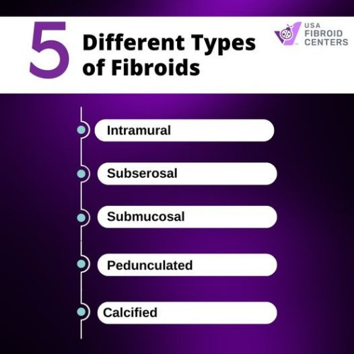 Discover the different types of fibroids, including subserosal, intramural, submucosal, and cervical fibroids. Learn about their symptoms, causes, and available treatment options to manage fibroid-related issues effectively.