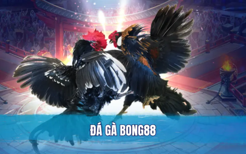 bxEY7.png