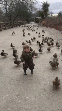 https://s14.gifyu.com/images/bxL6N.gif