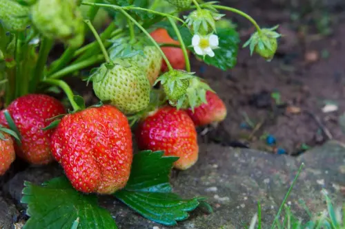 8b116e84 74df 4e58 b921 5056aac0684c