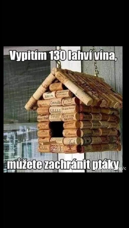 bxZ05.jpg