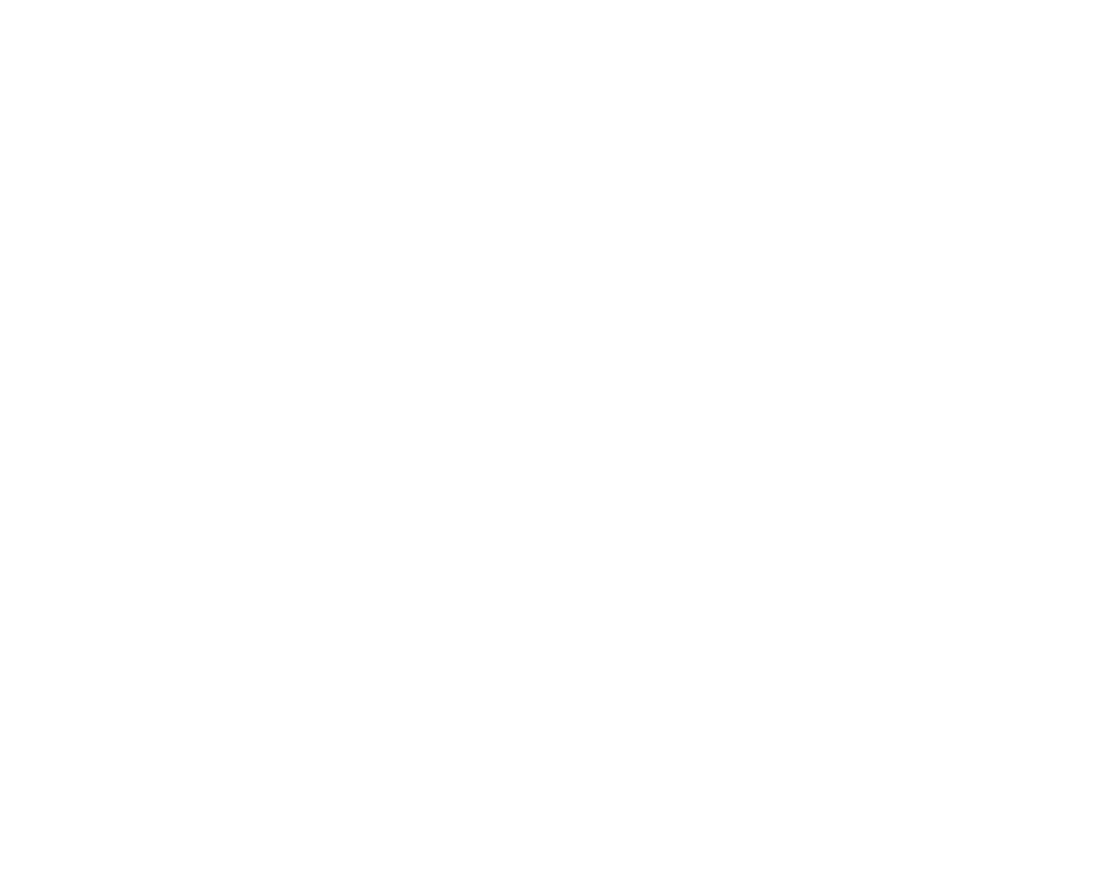 VistaFly Logo