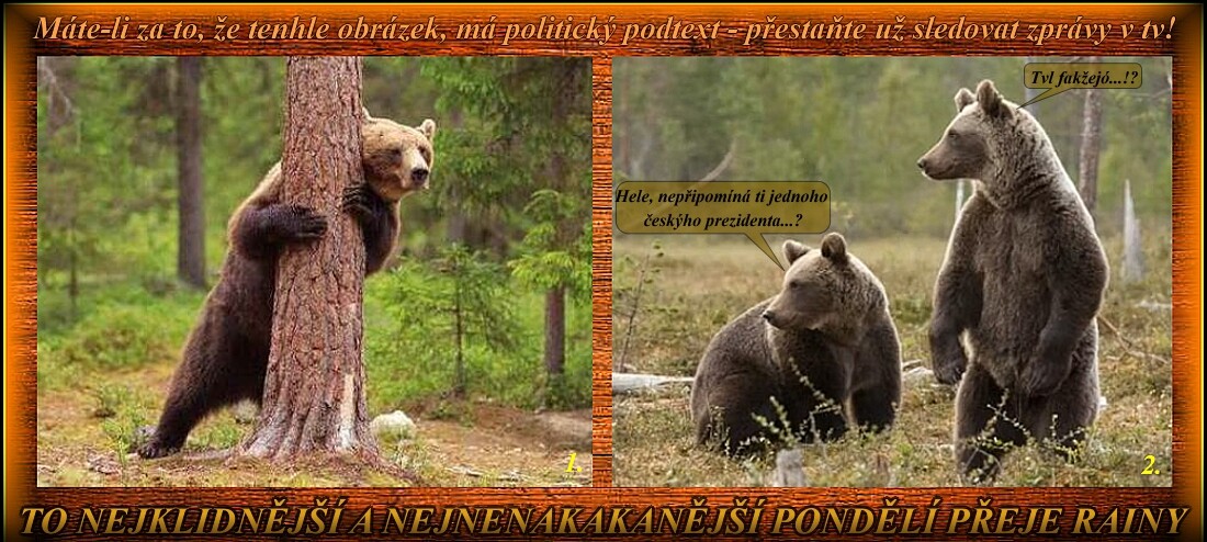 bxefV.jpg