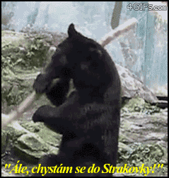 bxeoC.gif