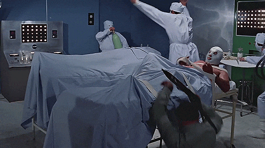 https://s14.gifyu.com/images/bxmm7.gif