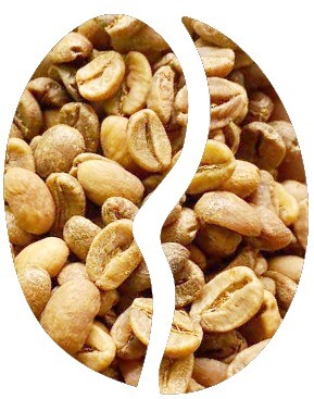 Arabica Gayo