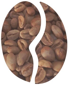 Arabica Banjarnegara