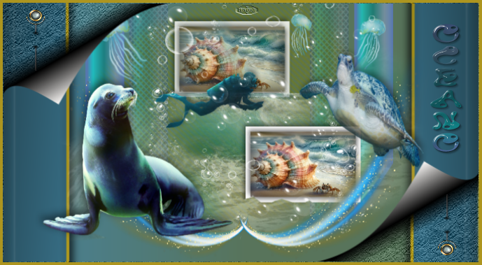 oceanhechiceratarjeta