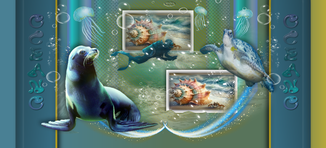 oceanhechiceraup