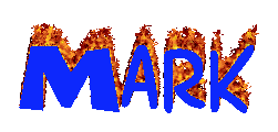 markbiotop zpssestxuot